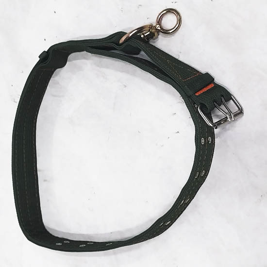 Үхрийн хүзүүвч