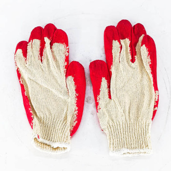 Бээлий /дан алгатай солонгос/